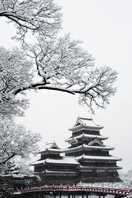 无人,公园,竖图,室外,白天,雪,建筑,长野县,日本,日本文化,城堡,冬天,桥,天气,树,红色,天空,寒冷,摄影,松本,松本城,彩图