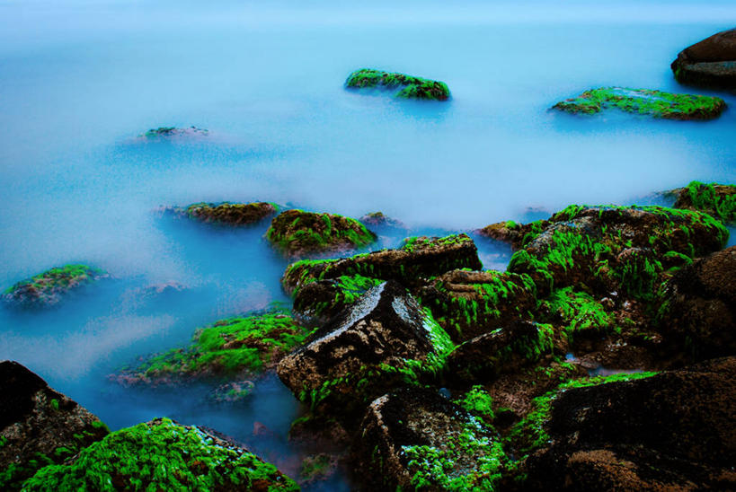 无人,横图,俯视,室外,美景,雾,巴西,景观,苔藓,黎明,风景,自然,景色,南美,摄影,宁静,环境,自然风光,圣卡塔琳娜,岩石,高角度拍摄,旅行