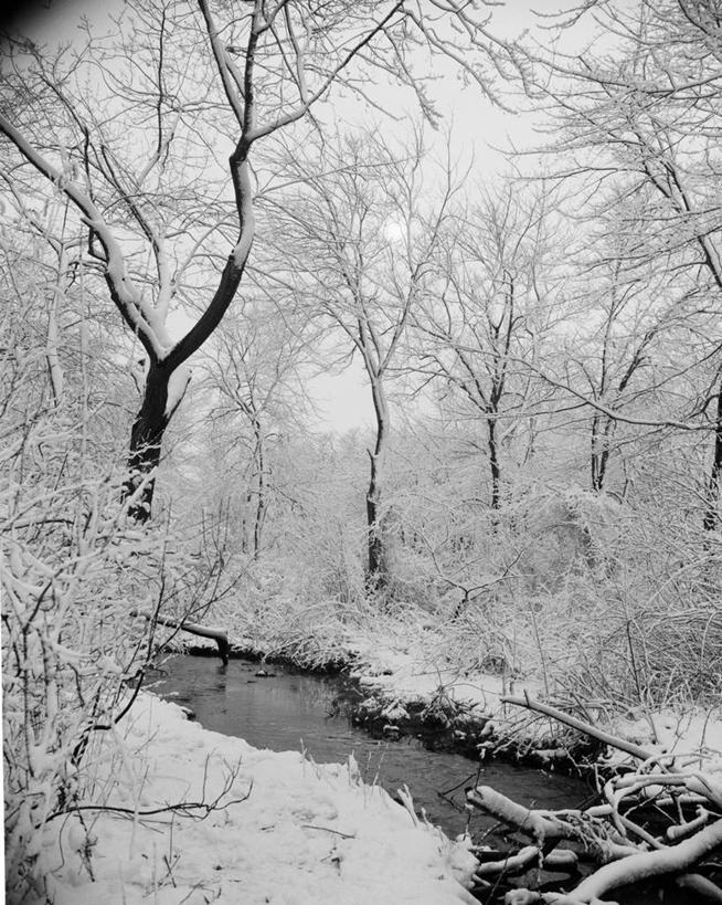 无人,竖图,黑白,室外,白天,河流,森林,雪,冬天,树,小溪,自然,摄影,灌木,宁静