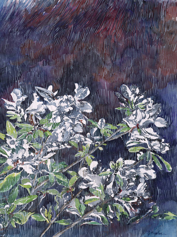 无人,竖图,插画,室外,白天,绘画,数码,科技,美景,雨,杜鹃花,叶子,阴影,艺术,网络,景观,天气,高光,几何,计算机图形,古典,合成,图画,文化,画,花,花瓣,自然,工艺品,品味,景色,生长,颜料,美术,电脑合成图,数码合成图,高雅,合成图,自然风光,漫画,写实,具体,具象,美学,美术工艺,彩图
