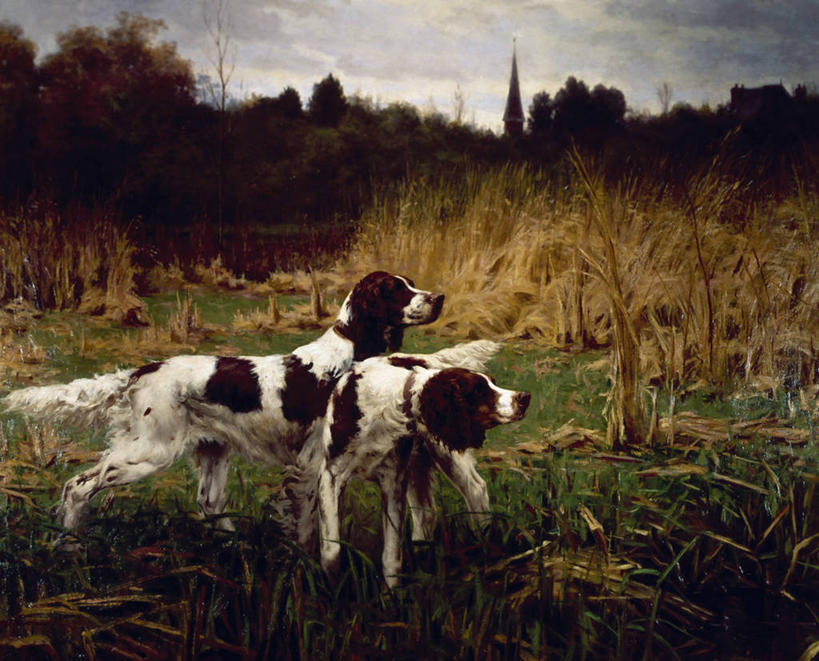 无人,站,横图,插画,室外,白天,旅游,度假,绘画,数码,科技,草地,美景,阴影,艺术,并排,网络,捕食,景观,高光,几何,计算机图形,古典,合成,图画,文化,娱乐,画,草,自然,动物,工艺品,品味,两只,享受,休闲,景色,放松,宁静,美术,电脑合成图,数码合成图,高雅,合成图,自然风光,漫画,赛特种猎狗,机敏,写实,具体,具象,美学,秋天,彩图,纯种犬