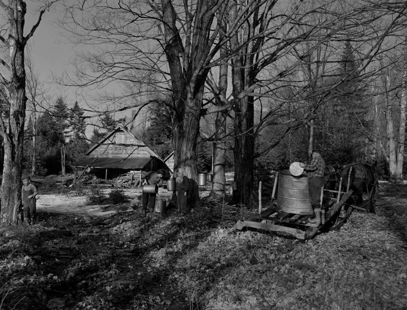 西方人,儿童,成年人,中年人,老年人,四个人,农民,站,横图,黑白,室外,白天,旅游,度假,合作,团队,农业,美景,雪,建筑,马,欧洲,纽约,美国,欧洲人,倒,弯腰,桶,推车,房屋,景观,冬天,马车,拿着,休闲装,娱乐,树,自然,动物,两只,职业,享受,休闲,家畜,景色,放松,寒冷,摄影,北美,北美洲,运送,自然风光,美洲,新罕布什尔州,北亚美利加洲,亚美利加洲,新罕布什尔,新罕布夏州,花岗岩州,花冈岩之州,滑雪之州,新英格兰,兰开斯特,农舍,纽英仑,树液,老年男性,老年女性,男孩,男人,女人,白种人,美利坚合众国