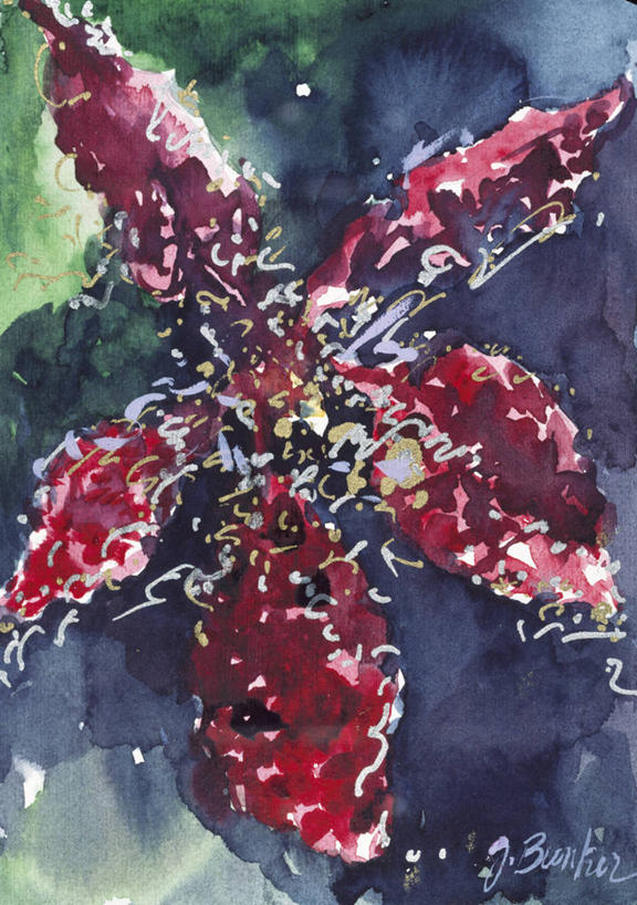 无人,竖图,俯视,插画,室外,特写,白天,绘画,数码,科技,美景,阴影,艺术,网络,景观,高光,几何,计算机图形,古典,合成,图画,文化,画,花,花瓣,红色,自然,工艺品,品味,景色,生长,签名,颜料,美术,电脑合成图,数码合成图,高雅,合成图,自然风光,漫画,写实,具体,具象,美学,美术工艺,兰花,彩图,高角度拍摄