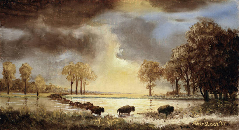 无人,站,横图,插画,室外,绘画,数码,科技,河流,美景,日落,野生动物,油画,阴影,艺术,网络,地形,景观,云,高光,几何,计算机图形,古典,宏伟,合成,图画,文化,画,树,风景,自然,工艺品,品味,景色,宁静,美术,电脑合成图,数码合成图,迁徙,高雅,合成图,自然风光,漫画,写实,具体,具象,美学,布法罗,美术工艺,彩图,横越