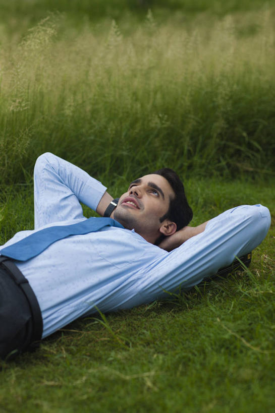 成年人,一个人,商务人士,商务男性,竖图,室外,白天,侧面,衬衫,商务,印度,仅一个男性,仅一个人,抱头,套装,正装,首都,草,仅一个年轻男性,向上看,放松,摄影,双手抱头,企业,公司,商务装,工薪阶层,新德里,捧首,捧头,男人,男性,年轻男性,印度人,年轻人,白领,上班族,仰卧,半身,彩图,衬衣,白日梦