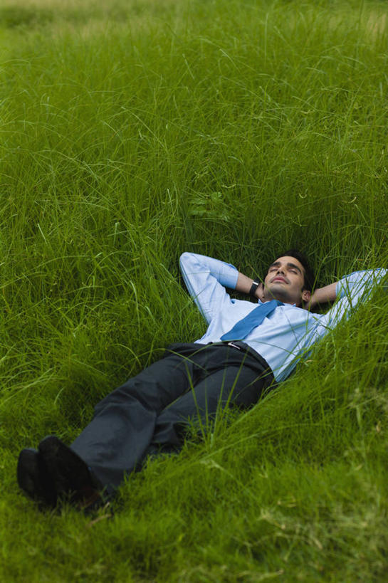 成年人,一个人,商务人士,商务男性,横图,竖图,室外,白天,衬衫,商务,印度,仅一个男性,仅一个人,抱头,套装,正装,环绕,首都,草,仅一个年轻男性,绿色,放松,摄影,双手抱头,企业,公司,商务装,工薪阶层,新德里,捧首,捧头,男人,男性,年轻男性,印度人,年轻人,白领,上班族,闭着眼睛,睡觉,仰卧,彩图,衬衣,白日梦