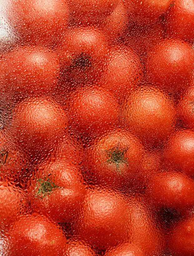 无人,竖图,俯视,室内,特写,白天,兴奋,热情,蔬菜,西红柿,玻璃,一堆,许多,阴影,堆叠,堆积,朦胧,模糊,新鲜,反射,影子,食品,很多,开放,磨砂玻璃,玻璃制品,食物,红色,健康,温暖,奔放,活力,积极,激情,朝气,有机食品,绿色食品,堆,暖色,吉祥,生命,饱满,革命,热烈,赤色,充实,斗志,喜气,主动,毛玻璃,洋柿子,柑仔蜜,番茄,臭柿,彩图,高角度拍摄,欢乐,六月柿,喜报三元