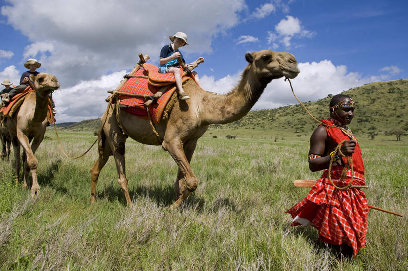 无人,横图,哺乳动物,马,野生动物,非洲,肯尼亚,条纹,动物,运输,摄影,牲畜,食草动物,考古学,细斑马,彩图,旅行