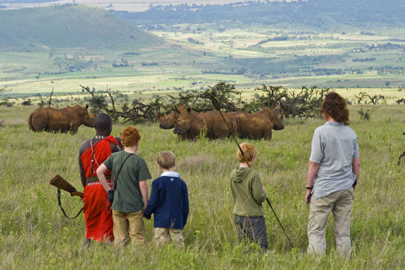 无人,横图,哺乳动物,马,野生动物,非洲,肯尼亚,条纹,动物,运输,摄影,牲畜,食草动物,考古学,细斑马,彩图,旅行