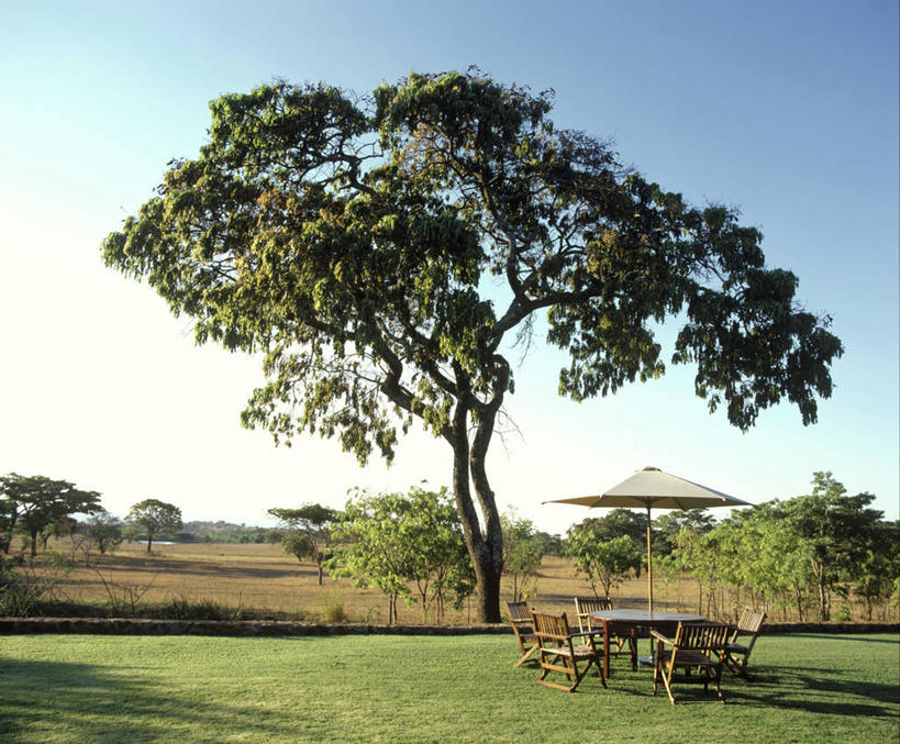 无人,横图,室外,白天,度假,草坪,桌子,酒店,椅子,非洲,津巴布韦,庭院,树荫,首都,阳伞,座位,草,蓝色,天空,摄影,宁静,万里无云,哈拉雷,彩图,景观设计