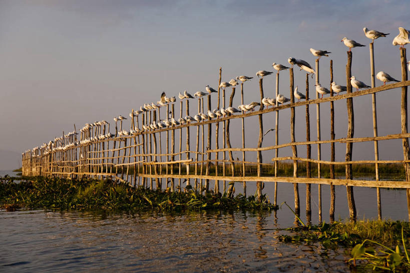 划船,成年人,横图,室外,渔业,湖,山,山脉,水,缅甸,亚洲,圆锥,锥子,社区,表,平衡,摄影,东南亚,宁静,桨,早晨,鱼网,陷阱,掸邦,男人,彩图,传统文化,淡水