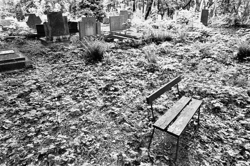 无人,横图,波兰,首都,摄影,东欧,华沙,彩图,旅行