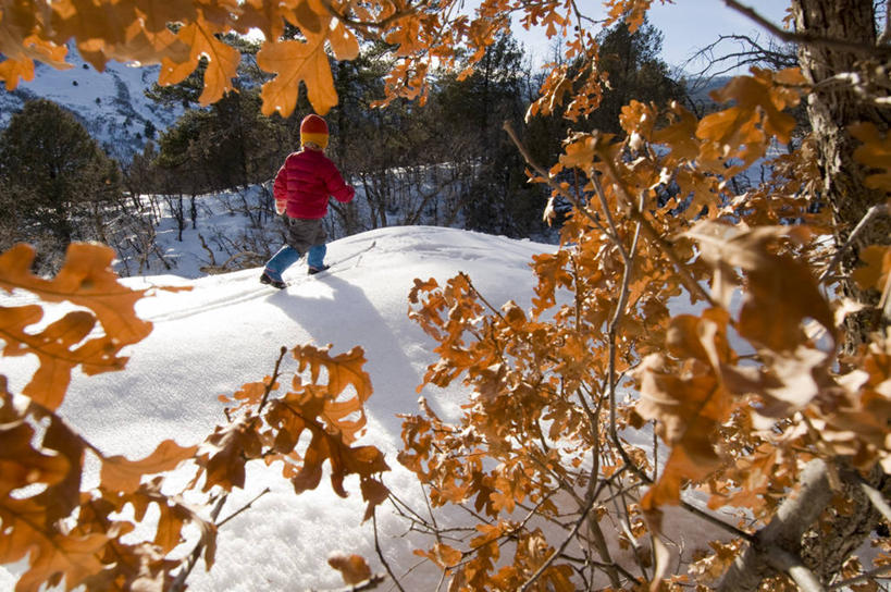 儿童,一个人,横图,室外,白天,侧面,旅游,度假,纯洁,美景,日光,美国,仅一个女性,仅一个人,地形,景观,娱乐,树,小孩,自然,仅一个小孩,享受,休闲,景色,放松,可爱,童年,童趣,摄影,自然风光,童真,烂漫,无邪,科罗拉多州,杜兰戈,冬季运动,滑雪运动,天真,女孩,女人,女性,孩子,彩图,女生
