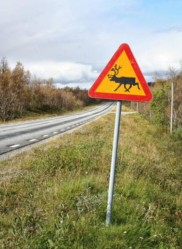 无人,竖图,室外,白天,旅游,度假,美景,指示牌,瑞典,标志,文字,景观,警告,娱乐,标识,树,自然,享受,休闲,景色,放松,警示,摄影,禁止,提醒,提示,限制,自然风光,透视图,机敏,危险,驯鹿,彩图