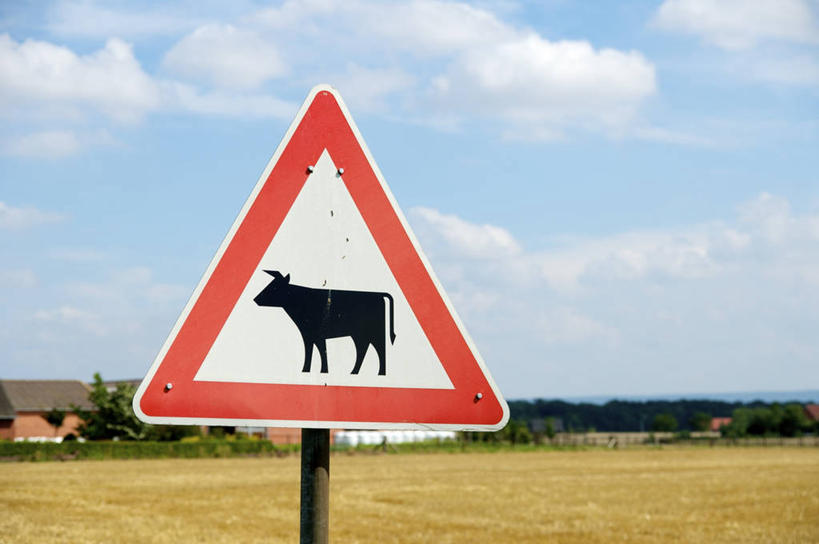 无人,农场,横图,室外,白天,旅游,度假,通讯,美景,指示牌,德国,标志,文字,地形,景观,云,警告,娱乐,标识,天空,自然,享受,休闲,景色,放松,警示,摄影,禁止,提醒,提示,限制,自然风光,想法,危险,彩图