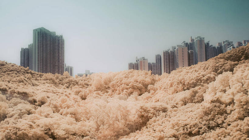 无人,横图,室外,白天,度假,美景,山,城市风光,城市,建筑,香港,景观,公寓,娱乐,现代,树,地标建筑,享受,休闲,景色,放松,摄影,中国文化,树梢,万里无云,彩图