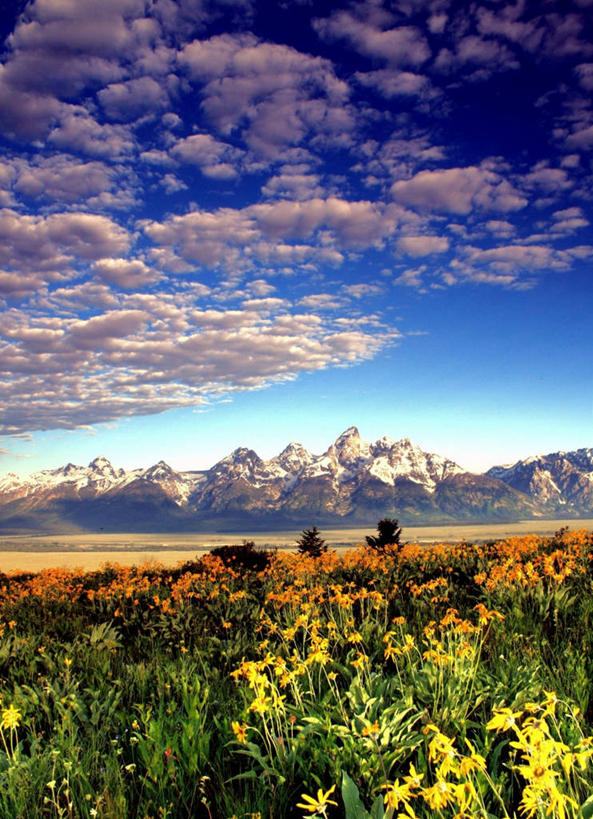 无人,竖图,室外,白天,美景,山,山脉,雪山,美国,地形,景观,云,冬天,野花,风景,天空,自然,夏天,景色,寒冷,摄影,宁静,自然风光,怀俄明,彩图
