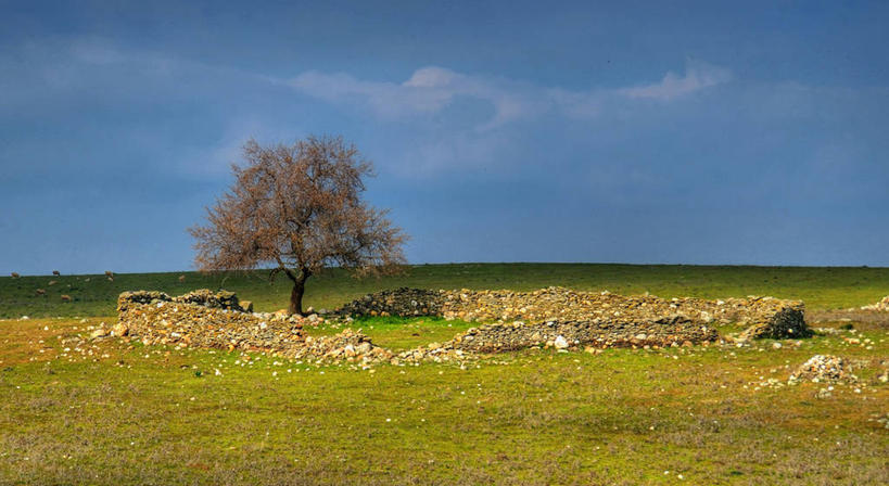 无人,横图,室外,白天,美景,西班牙,地形,景观,云,草,天空,自然,平原,景色,摄影,宁静,自然风光,槲树,彩图,独处