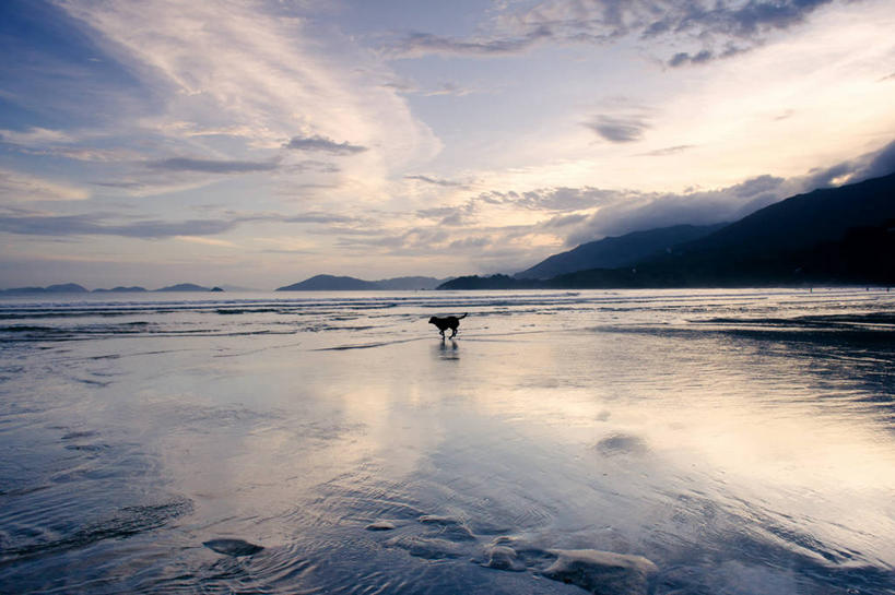 无人,横图,室外,海洋,日落,山,宠物,狗,香港,沙子,云,天空,自然,动物,家畜,摄影,宁静,海滩,步行,彩图