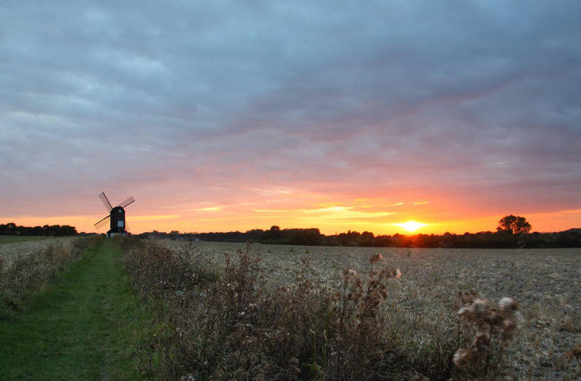 无人,横图,室外,农业,农作物,美景,日落,日光,英国,风力,地形,景观,田地,云,风景,天空,自然,景色,摄影,宁静,自然风光,环境保护,白金汉郡,彩图