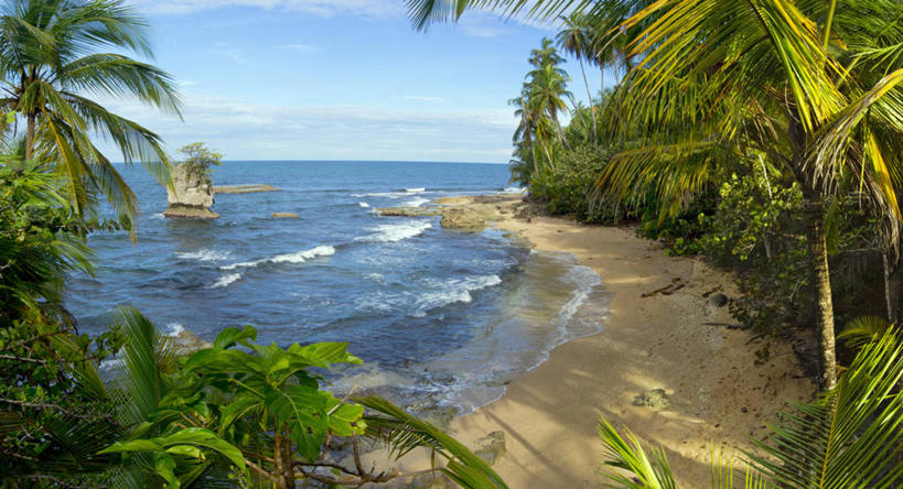 无人,横图,俯视,室外,白天,海浪,海洋,美景,棕榈树,哥斯达黎加,景观,水平线,云,风景,天空,自然,景色,摄影,宁静,北美,北美洲,自然风光,美洲,北亚美利加洲,亚美利加洲,哥斯达黎加共和国,野生动物保护区,曼萨尼约,海滩,彩图,高角度拍摄