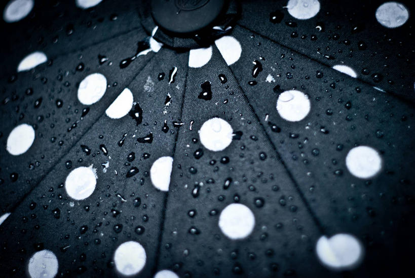 无人,横图,室内,特写,雨,英国,湿,伞,圆点,斑点,天气,白色,黑色,雨滴,摄影,保护,部分,伍斯特郡,彩图