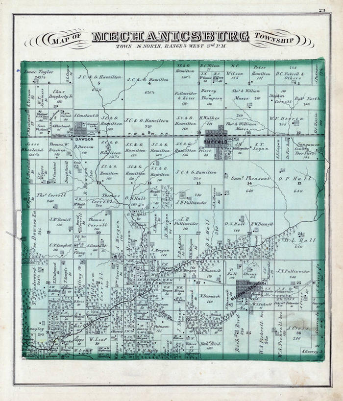 无人,竖图,地图,历史,古董,伊利诺斯州,布法罗,彩图,地图学