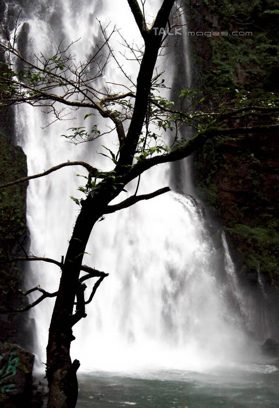 无人,竖图,室外,白天,正面,旅游,度假,河流,美景,瀑布,水,植物,井冈山,中国,亚洲,一棵,阴影,飞溅,溅,光线,标志,文字,液体,影子,字符,河水,景观,水滴,水花,水流,枝条,娱乐,标识,江西,水珠,树,树干,树木,树枝,绿色,阳光,自然,享受,休闲,汉字,景色,放松,生长,成长,倾泻,倾注,喷洒,中文,自然风光,东亚,江西省,中华人民共和国,华东地区,国文,华文,赣,革命,吉安,吉安市,泼洒,革命根据地,跌水,彩图,bjzqp1