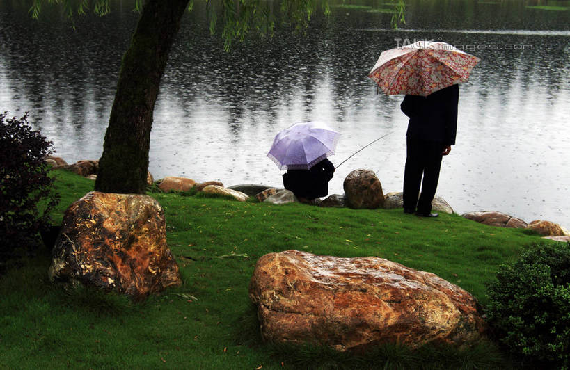 东方人,两个人,站,蹲,举,横图,俯视,室外,白天,仰视,旅游,度假,河流,石头,美景,树林,水,植物,钓鱼竿,井冈山,中国,亚洲,许多,握,伞,石子,雨伞,河水,景观,水流,拿,拿着,注视,黄种人,娱乐,阳伞,江西,树,树木,绿色,自然,观察,看,托,站着,享受,休闲,景色,放松,握着,生长,成长,观看,渔具,察看,关注,自然风光,东亚,江西省,中华人民共和国,华东地区,赣,革命,吉安,吉安市,革命根据地,男人,男性,年轻男性,亚洲人,钓竿,鱼竿,石块,岩石,蹲着,举起,举手,举着,向上举,向上伸,向上托,站立,彩图,低角度拍摄,高角度拍摄,全身,钓鱼,bjzqp1