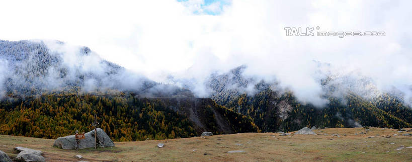 无人,横图,室外,白天,正面,旅游,度假,草地,草坪,美景,山,树林,雪,雪山,植物,雾,大雪,中国,亚洲,阴影,枯萎,朦胧,模糊,光线,影子,积雪,景观,山峰,山坡,雪景,云,云朵,冬天,枯草,山峦,云彩,娱乐,草,树,树木,蓝色,绿色,白云,蓝天,天空,阳光,自然,天,享受,休闲,景色,放松,四川省,生长,成长,迷雾,自然风光,东亚,四川,阿坝,中华人民共和国,西南地区,阿坝藏族羌族自治州,阿坝州,川,海子沟,四姑娘山,大雾,彩图,shsgf1