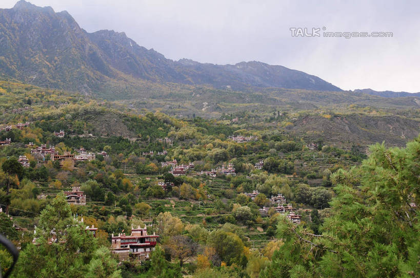 无人,家,横图,俯视,室外,白天,旅游,度假,草地,草坪,美景,山,树林,植物,中国,亚洲,许多,房屋,屋子,景观,山峰,云,云朵,山峦,云彩,文化,娱乐,楼房,民居,住宅,草,树,树木,排列,绿色,蓝天,天空,自然,天,享受,休闲,景色,放松,四川省,生长,成长,队列,自然风光,东亚,四川,丹巴,甘孜藏族自治州,中华人民共和国,西南地区,民族文化,川,丹巴县,甘孜,甘孜州,甲居藏寨,彩图,高角度拍摄,房子,shsgf1