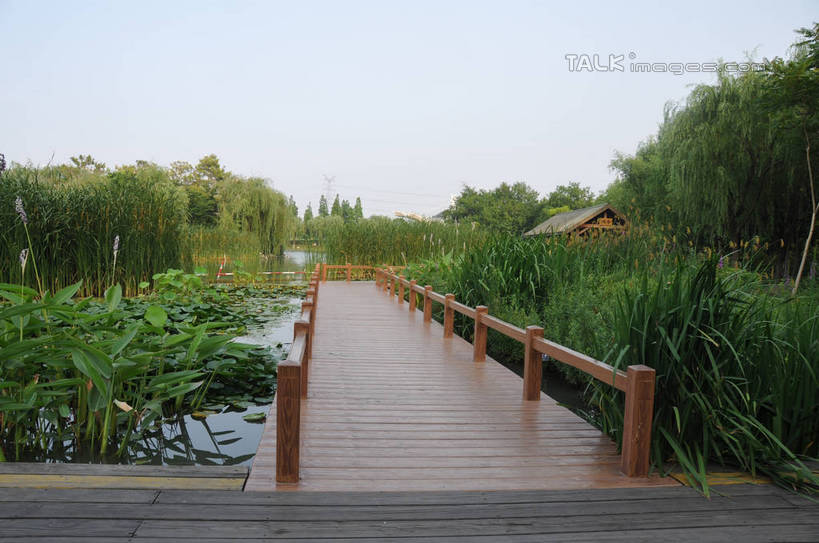 无人,家,木屋,横图,室外,白天,正面,度假,美景,树林,植物,城市风光,城市,叶子,上海,中国,亚洲,阴影,光线,木板,影子,池塘,景观,水池,桥,荷叶,水草,木桥,娱乐,住宅,栈桥,树,树木,蓝色,绿色,蓝天,天空,阳光,自然,天,享受,休闲,景色,放松,生长,晴朗,成长,人行桥,木板桥,申,东亚,闵行区,上海市,闵行体育公园,万里无云,中华人民共和国,沪,华东地区,莲叶,叶,叶片,晴空,晴空万里,彩图,茅舍,茅屋,棚屋,小木屋,小屋,shsgf1