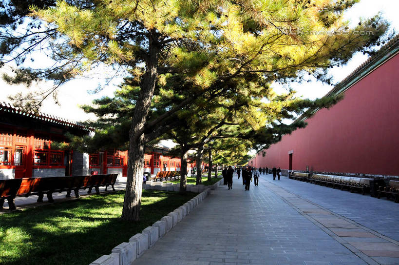 东方人,故宫,宫殿,走,横图,室外,白天,正面,旅游,度假,草地,草坪,名胜古迹,植物,标志建筑,道路,地标,建筑,路,公路,北京,中国,亚洲,行人,游客,游人,阴影,服装,遗迹,光线,影子,墙,交通,首都,许多人,休闲装,黄种人,古迹,文物,娱乐,建设,古建筑,路人,旅客,墙壁,墙面,草,树,树木,衣服,红色,蓝色,绿色,蓝天,天空,阳光,自然,紫禁城,天,一群人,享受,休闲,休闲服,旅游胜地,放松,服饰,生长,晴朗,成长,权利,古文明,东亚,万里无云,中华人民共和国,北京市,京,北平,华北地区,北京故宫博物院,过客,男人,男性,年轻男性,年轻女性,女人,女性,亚洲人,晴空,晴空万里,马路,步行,散步,走路,彩图,全身,shsgf1