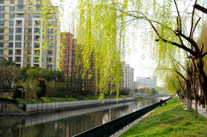 无人,家,横图,室外,白天,正面,旅游,度假,草地,草坪,河流,美景,水,植物,城市风光,城市,建筑,柳树,上海,中国,亚洲,波纹,房屋,屋子,河水,景观,水流,公寓,涟漪,娱乐,建设,洋房,楼房,垂柳,住宅,草,树,树木,绿色,倒影,水纹,自然,波浪,享受,休闲,景色,放松,生长,成长,申,倒映,东亚,上海市,中华人民共和国,沪,华东地区,水晕,倒挂柳,反照,垂枝柳,彩图,房子,shsgf1