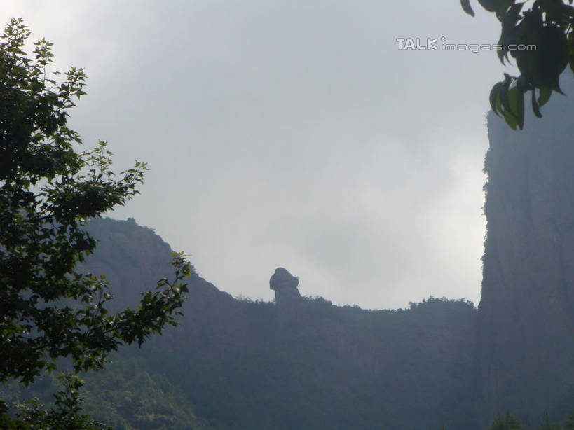 无人,横图,室外,白天,仰视,旅游,度假,美景,森林,山,山脉,树林,植物,仙居,中国,亚洲,景观,山峰,乌云,云,阴天,云朵,山峦,云彩,娱乐,浙江,树,树木,浙江省,绿色,天空,自然,群山,天,享受,休闲,景色,放松,临海,生长,成长,昏暗,阴沉,自然风光,东亚,中华人民共和国,华东地区,浙,台州,台州市,彩图,低角度拍摄,临海市,仙居县,shslj1