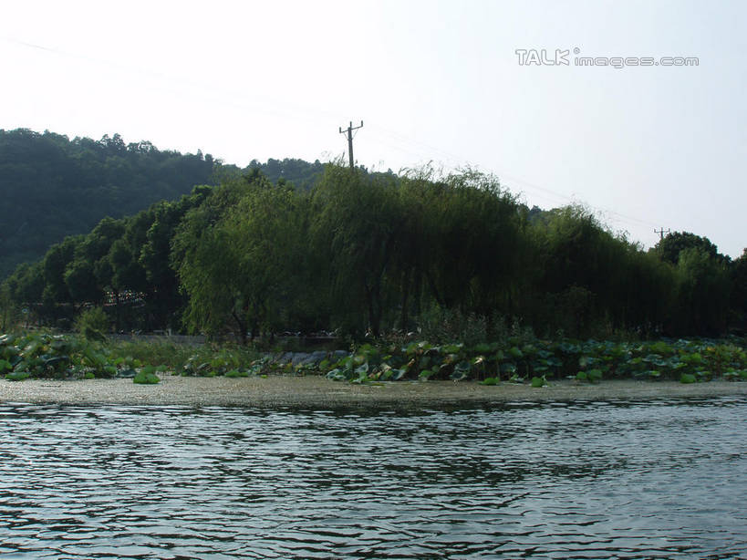 无人,横图,室外,白天,正面,旅游,度假,草地,草坪,湖,湖泊,美景,山,山脉,树林,水,植物,太湖,中国,亚洲,阴影,波纹,光线,影子,湖面,景观,山峰,水流,水面,涟漪,山峦,娱乐,江苏,苏州,草,树,树木,蓝色,绿色,蓝天,水纹,天空,阳光,自然,波浪,湖水,群山,天,享受,休闲,景色,放松,缥缈峰,西山,生长,晴朗,成长,自然风光,东亚,江苏省,苏州市,万里无云,中华人民共和国,华东地区,苏,水晕,吴中区,晴空,晴空万里,彩图,洞庭西山,包山,shslj1