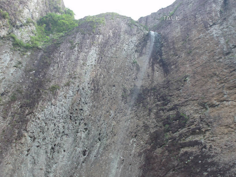 无人,横图,室外,白天,仰视,旅游,度假,石头,美景,森林,山,山脉,树林,植物,中国,亚洲,阴影,光线,石子,影子,景观,山峰,悬崖,山峦,娱乐,浙江,树,树木,浙江省,绿色,天空,阳光,自然,群山,天,享受,休闲,景色,放松,雁荡山,生长,成长,自然风光,东亚,中华人民共和国,华东地区,浙,温州,温州市,绝壁,石块,岩石,彩图,低角度拍摄,shslj1