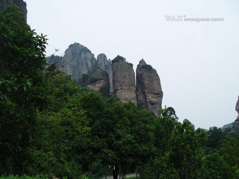 无人,横图,室外,白天,仰视,旅游,度假,石头,美景,森林,山,山脉,树林,植物,中国,亚洲,石子,景观,山峰,悬崖,山峦,娱乐,浙江,树,树木,浙江省,绿色,天空,自然,群山,天,享受,休闲,景色,放松,雁荡山,生长,成长,自然风光,东亚,中华人民共和国,华东地区,浙,温州,温州市,绝壁,石块,岩石,彩图,低角度拍摄,shslj1