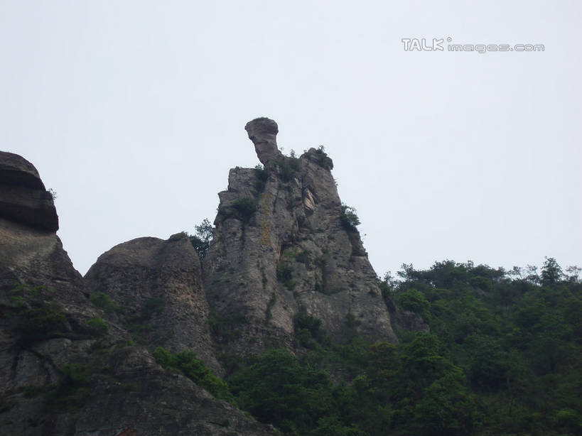 无人,横图,室外,白天,仰视,旅游,度假,石头,美景,森林,山,山脉,树林,植物,中国,亚洲,石子,景观,山峰,悬崖,山峦,娱乐,浙江,树,树木,浙江省,绿色,天空,自然,群山,天,享受,休闲,景色,放松,雁荡山,生长,成长,自然风光,东亚,中华人民共和国,华东地区,浙,温州,温州市,绝壁,石块,岩石,彩图,低角度拍摄,shslj1