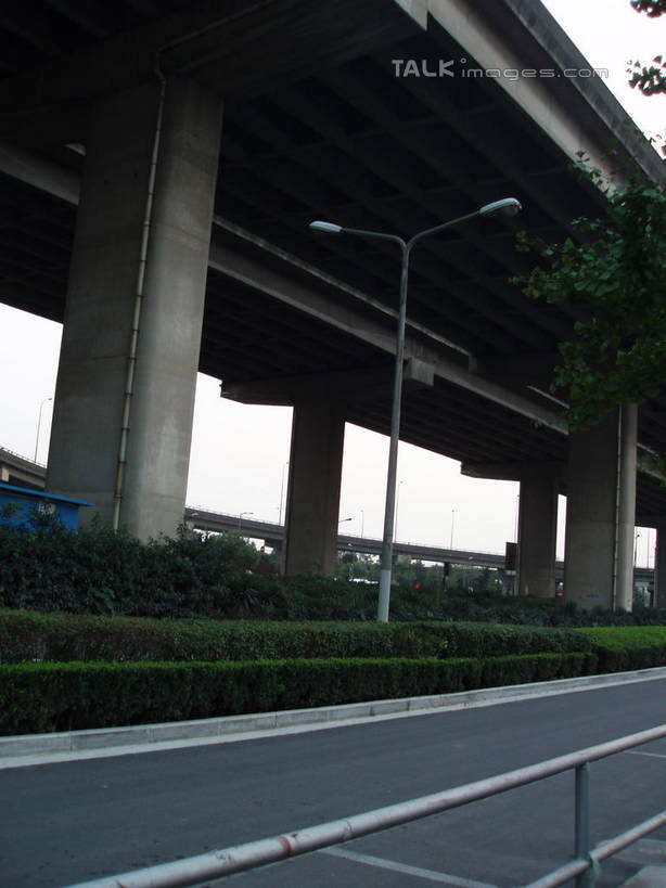 无人,竖图,室外,白天,仰视,度假,美景,植物,城市风光,城市,道路,路,路灯,公路,照明,上海,中国,亚洲,景观,高架,灯光,交通,娱乐,灯,树,树木,绿色,天空,自然,天,享受,休闲,景色,放松,生长,成长,照亮,申,照明设备,高架桥,东亚,上海市,高架道路,跨线桥,中华人民共和国,沪,华东地区,彩图,低角度拍摄,shslj1