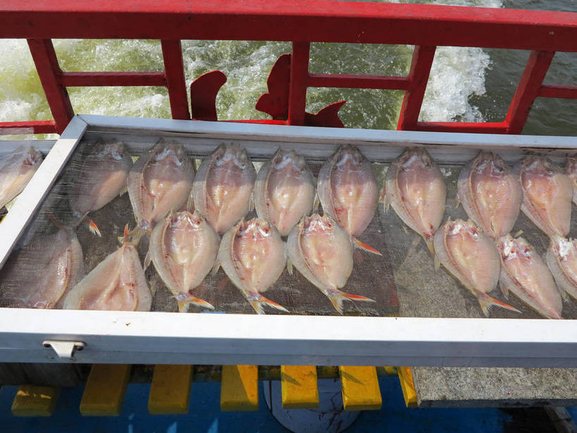 无人,栏杆,横图,俯视,室外,特写,白天,美景,山脉,轮船,船,长白山,中国,亚洲,一排,一艘,许多,波纹,飞溅,整齐,并列,并排,溅,鱼,液体,景观,水滴,围栏,很多,水产,鱼类,护栏,水珠,排列,红色,水纹,自然,容器,船尾波,交通工具,波浪,景色,储藏,储存,队列,喷洒,自然风光,载具,水生动物,平行,水生物,东亚,吉林,吉林省,中华人民共和国,东北地区,吉,半身,彩图,高角度拍摄,长白山脉,淡水生物,河鲜,贮存,shslj1