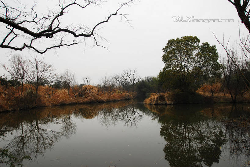 无人,公园,横图,室外,白天,正面,旅游,度假,湖,湖泊,美景,水,植物,中国,亚洲,湖面,景观,水流,水面,乌云,云,阴天,云朵,枝条,云彩,娱乐,浙江,树,树木,树枝,浙江省,绿色,天空,自然,湖水,天,享受,休闲,景色,放松,生长,成长,杭州,西溪,昏暗,阴沉,自然风光,东亚,杭州市,中华人民共和国,华东地区,省会,浙,虬枝,枝杈,西湖区,彩图,西溪国家湿地公园,杭州之肺,杭州西溪国家湿地公园,shwf1