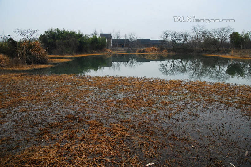 无人,公园,横图,室外,白天,正面,旅游,度假,河流,美景,水,植物,芦苇,叶子,中国,亚洲,一堆,许多,阴影,堆叠,堆积,光线,影子,河水,景观,水流,粽叶,绿叶,枝条,很多,娱乐,浙江,树,树木,树枝,浙江省,蓝色,绿色,蓝天,天空,阳光,自然,天,享受,休闲,嫩叶,景色,放松,生长,晴朗,成长,杭州,西溪,堆,自然风光,东亚,杭州市,万里无云,中华人民共和国,华东地区,省会,浙,箬叶,芦苇叶,虬枝,枝杈,西湖区,叶,叶片,晴空,晴空万里,彩图,西溪国家湿地公园,杭州之肺,杭州西溪国家湿地公园,shwf1