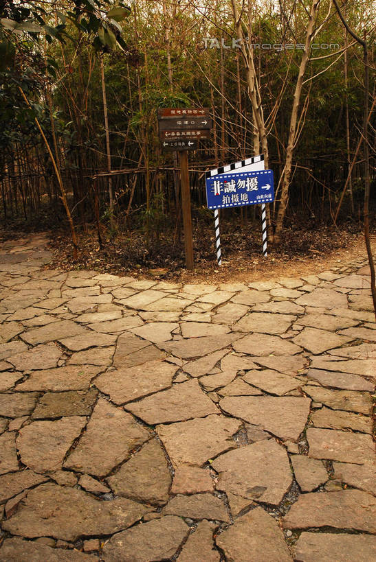 无人,公园,竖图,室外,白天,正面,旅游,度假,纯洁,石头,美景,道路,路,指示牌,竹子,中国,亚洲,标志,路标,石子,文字,字符,景观,竹林,小路,交通,方向,娱乐,标识,浙江,路牌,箭头,浙江省,自然,享受,休闲,汉字,景色,放松,杭州,西溪,高雅,指向,中文,自然风光,东亚,杭州市,中华人民共和国,华东地区,省会,浙,簇,奉献,国文,华文,质朴,正直,担当,西湖区,石块,岩石,竹,彩图,西溪国家湿地公园,杭州之肺,杭州西溪国家湿地公园,奋进,操守,四君子,岁寒三友,性坚,虚怀,虚心,善群,卓尔,shwf1