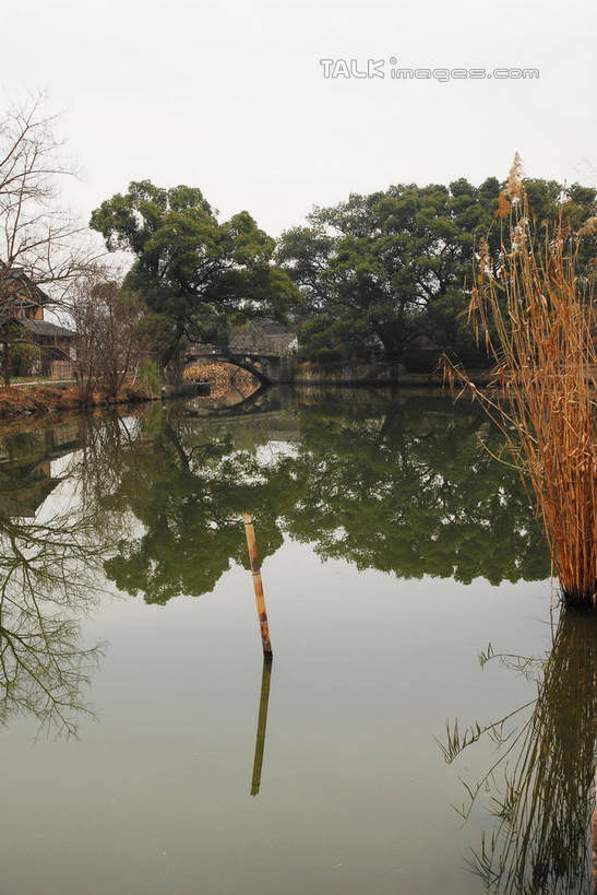 无人,公园,竖图,室外,白天,正面,旅游,度假,河流,美景,水,芦苇,叶子,中国,亚洲,阴影,光线,影子,河水,景观,水流,粽叶,绿叶,娱乐,浙江,浙江省,蓝色,蓝天,天空,阳光,自然,天,享受,休闲,嫩叶,景色,放松,晴朗,杭州,西溪,自然风光,东亚,杭州市,万里无云,中华人民共和国,华东地区,省会,浙,箬叶,芦苇叶,西湖区,叶,叶片,晴空,晴空万里,彩图,西溪国家湿地公园,杭州之肺,杭州西溪国家湿地公园,shwf1