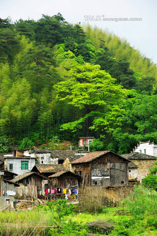 无人,家,竖图,室外,白天,正面,旅游,度假,名胜古迹,森林,山,山脉,树林,植物,标志建筑,地标,建筑,中国,亚洲,阴影,遗迹,光线,影子,房屋,屋子,山峰,建筑群,山峦,古迹,文物,娱乐,建设,古建筑,江西,景德镇,楼房,住宅,树,树木,蓝色,绿色,蓝天,天空,阳光,自然,群山,天,享受,休闲,旅游胜地,瓦房,放松,生长,晴朗,成长,古文明,东亚,江西省,万里无云,中华人民共和国,华东地区,赣,景德镇市,晴空,晴空万里,彩图,房子,瑶里镇,瑶里古镇,瑶里,shwf1