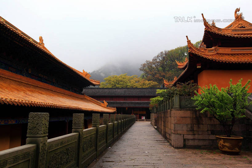 无人,寺庙,横图,室外,白天,正面,旅游,度假,名胜古迹,植物,雾,标志建筑,道路,地标,建筑,路,中国,亚洲,节日,朦胧,模糊,遗迹,瓦片,墙,屋顶,小路,交通,顶棚,瓦,古迹,文化,文物,娱乐,建设,古建筑,浙江,墙壁,墙面,树,树木,浙江省,绿色,天空,自然,庙宇,天,祈祷,享受,休闲,健康,旅游胜地,放松,许愿,宗教,建造,佛教,信仰,生长,成长,纪念,祈求,迷雾,古文明,东亚,屋瓦,普陀区,普陀山,法雨寺,中华人民共和国,华东地区,浙,舟山,舟山市,释教,平安,大雾,彩图,庙,寺,海天佛国,shwf1