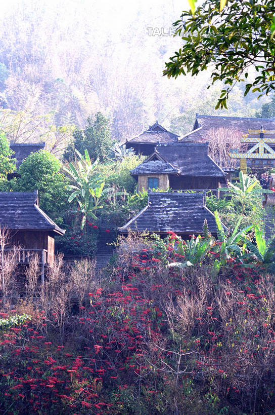 无人,植物园,家,竖图,室外,特写,白天,正面,旅游,度假,美景,植物,建筑,西双版纳,中国,亚洲,阴影,朦胧,模糊,光线,瓦片,影子,房屋,屋顶,屋子,景观,顶棚,瓦,娱乐,楼房,云南,住宅,树,树木,绿色,阳光,自然,享受,休闲,景色,放松,建造,生长,成长,自然风光,东亚,屋瓦,西双版纳州,云南省,中华人民共和国,西南地区,滇,西双版纳傣族自治州,彩图,房子,版纳植物园,勐腊县,勐仑植物园,中国科学院西双版纳热带植物园,shzwj1