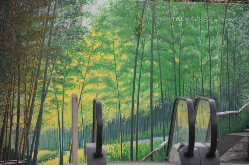 无人,横图,室外,白天,正面,绘画,纯洁,电梯,竹子,阴影,朦胧,模糊,艺术,装饰,反射,影子,电动扶梯,墙,竹林,自动扶梯,运输工具,文化,壁画,墙壁,墙面,华丽,修饰,点缀,高雅,衬托,美观,雅致,雅观,奉献,质朴,正直,担当,竹,画画,彩图,奋进,操守,四君子,岁寒三友,性坚,虚怀,虚心,扶手电梯,升降设备,运输带,自动行人电梯,善群,卓尔,电扶梯,shzxz1