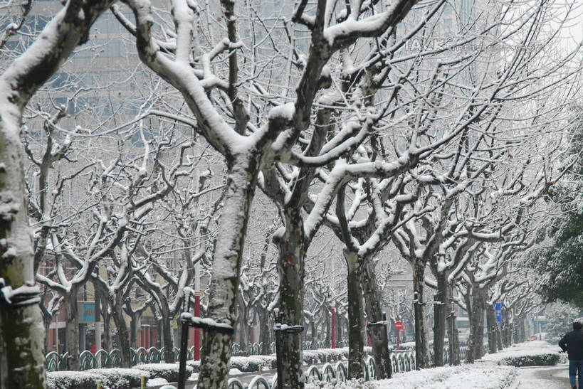 无人,商店,横图,室外,白天,正面,购物,度假,消费,美景,雪,植物,大雪,城市风光,超市,城市,商场,上海,中国,亚洲,积雪,景观,雪景,冬季,冬天,枝条,娱乐,树,树木,树枝,绿色,自然,享受,休闲,景色,放松,寒冷,金融,百货,生长,成长,申,选购,贸易,百货公司,东亚,上海市,中华人民共和国,沪,华东地区,血拼,严寒,虬枝,枝杈,彩图,购物商场,购物中心,商业中心,shzxz1